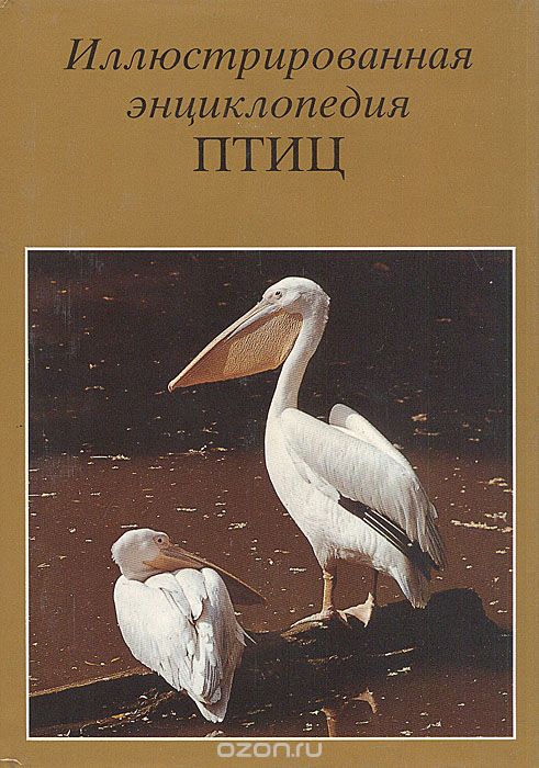 Обложка книги Я. Ганзак: Иллюстрированная энциклопедия птиц