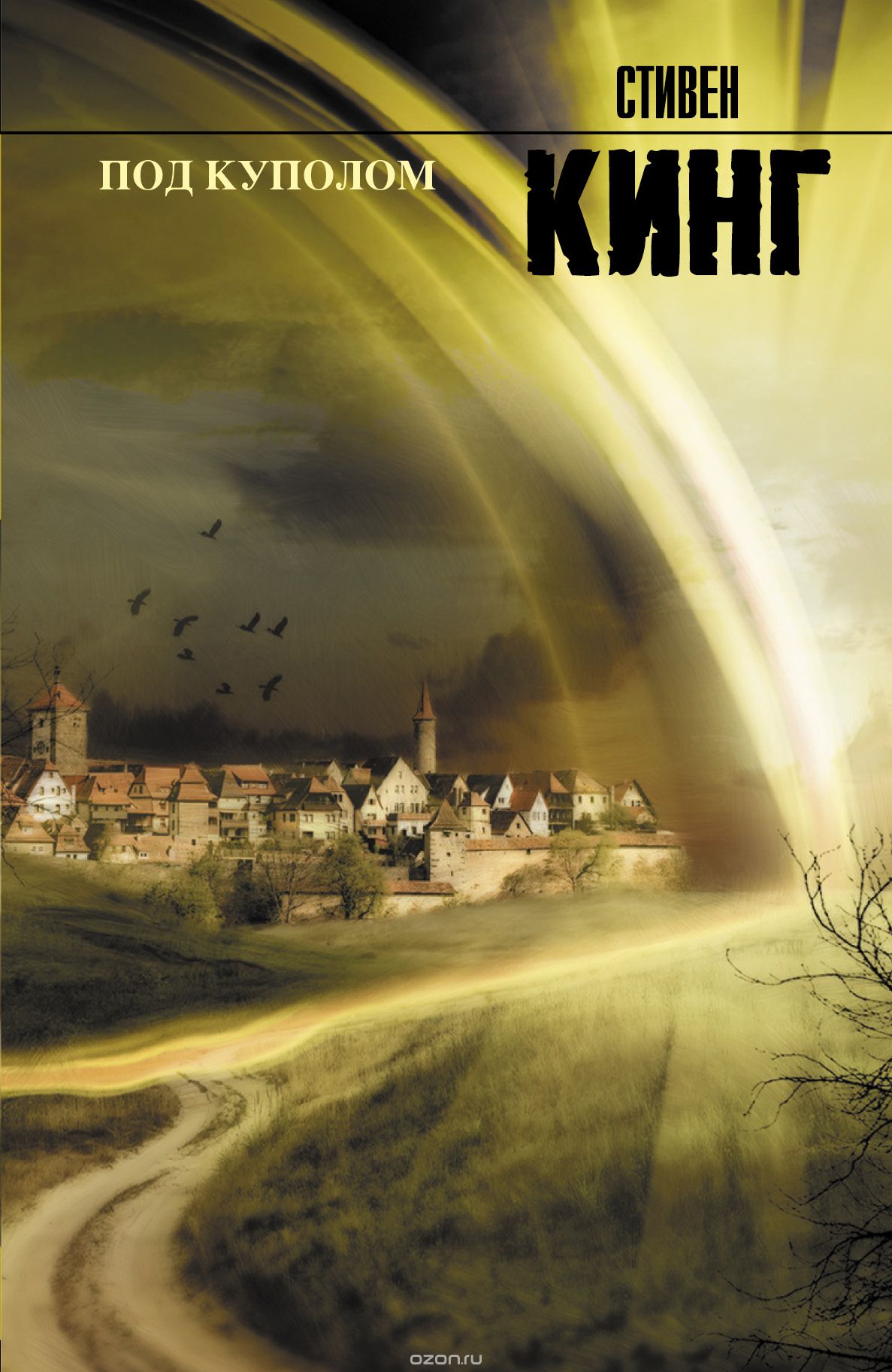 Обложка книги Стивен Кинг: Под куполом