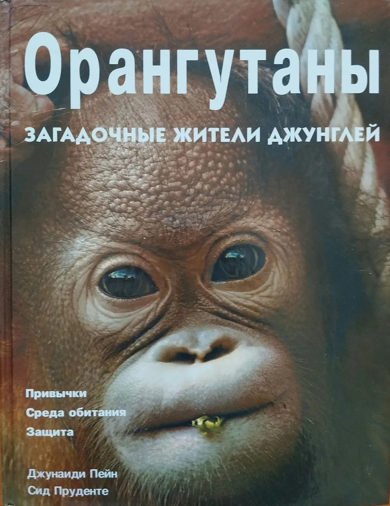 Обложка книги Пейн Джунаиди, Пруденте Сид: Орангутаны. Загадочные жители джунглей